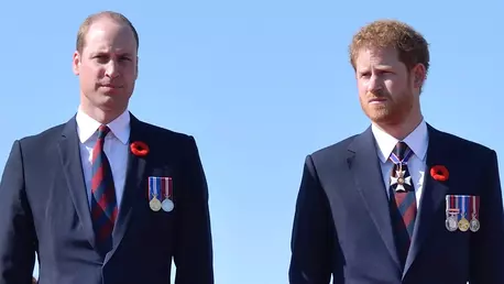 Apropiații Prințesei Diana, „dezamăgiți” de cea mai recentă decizie luată de William și Harry