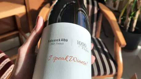 „Vinul tău din via ta”: Fetească Albă 2021 de la Crama „1000 de Chipuri” / De ce să cumperi doar o sticlă, când poți avea tot butașul?