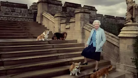 Cine va avea grijă de iubiții câini ai Reginei Elisabeta a II-a