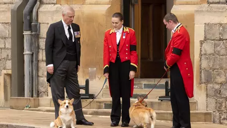 Câinii Reginei și calul ei preferat i-au adus un ultim omagiu la Windsor