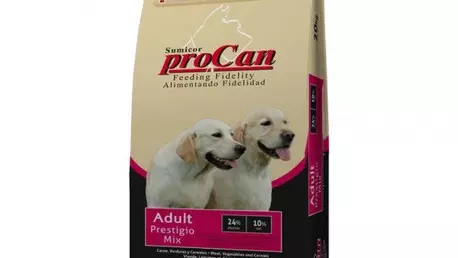Cum să alegi mâncarea uscată potrivită pentru câinele tău
