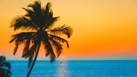 Redefinirea Paradisului: O privire asupra viitorului sudului litoralului