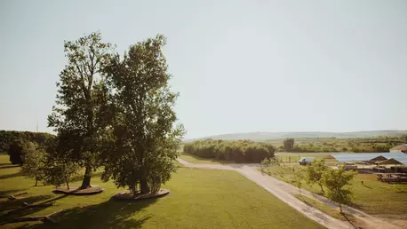 O experiență de festival sustenabilă la Electric Castle 2023