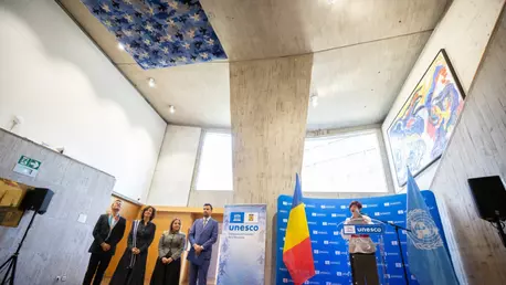 O lucrare de Mircea Cantor, dăruită de România către UNESCO, la 65 de ani de la aderarea țării
