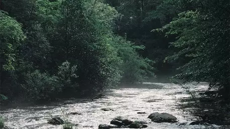 Ivatherm accelerează proiectele de sustenabilitate și va avea ambalaje100% din surse reciclate sau biodegradabile până în 2030