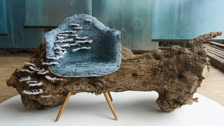 The Visionary Lab, Vitra și Levi’s, elaborează Icons Re/Outfitted - o expoziție alternativă
