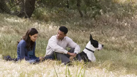 Zodiile care vor tot timpul să primească afecțiune din partea partenerului de cuplu