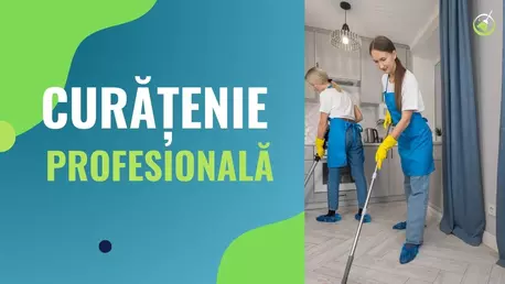 Curățenia în Era Vitezei  -  De Ce Alegem serviciile profesionale