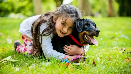 Cel mic își dorește un animal de companie? Iată care este cea mai potrivită opțiune pentru familie