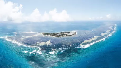 Fragmente de paradis