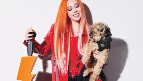 Operațiunea Dulapul cu Olivia Addams