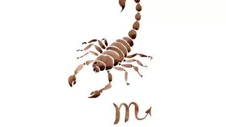 Horoscop anual 2026 Scorpion. Previziuni pentru zodia Scorpion, în 2026