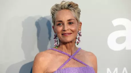 Sharon Stone a dezvăluit motivul șocant care a dus la sfârșitul căsniciei sale: "Situația este foarte gravă"