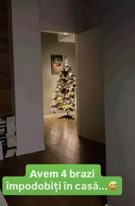 mirela-vaida-brazi-craciun (1)