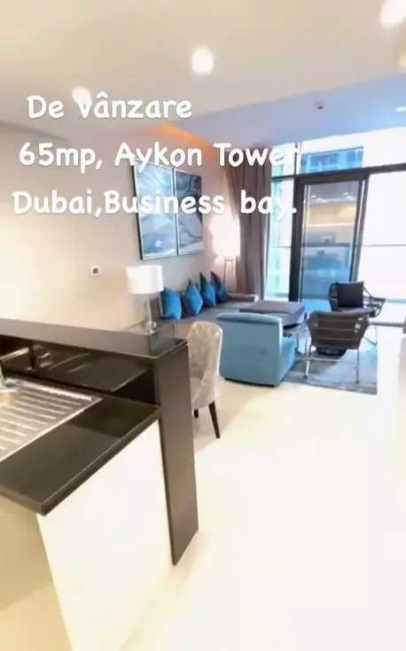 bianca-dragusanu-apartament-dubai-2