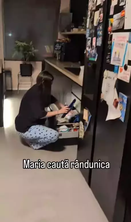 maria-in-bucatarie