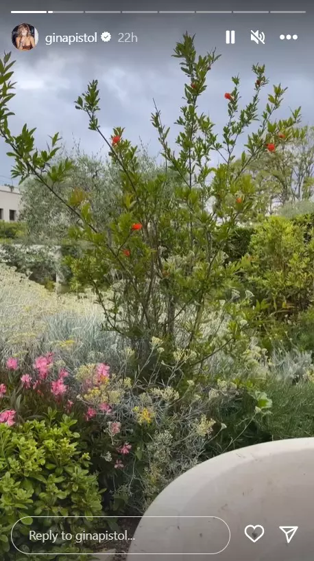 Gina Pistol și Smiley, primele imagini din luna de miere de vis. Unde se relaxează după nuntă