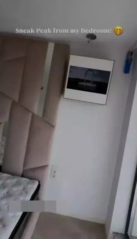 ramona olaru apartament