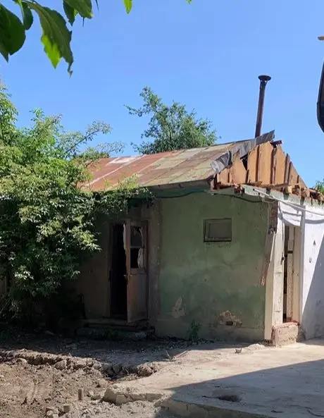casa din padure a mihaelei bilic3