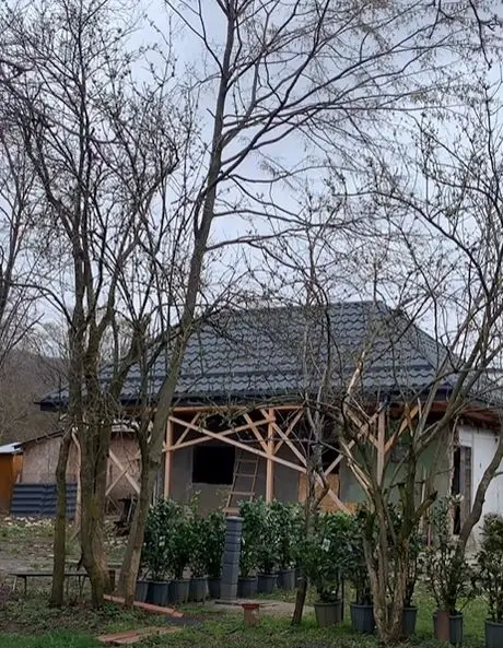 casa din padure a mihaelei bilic4