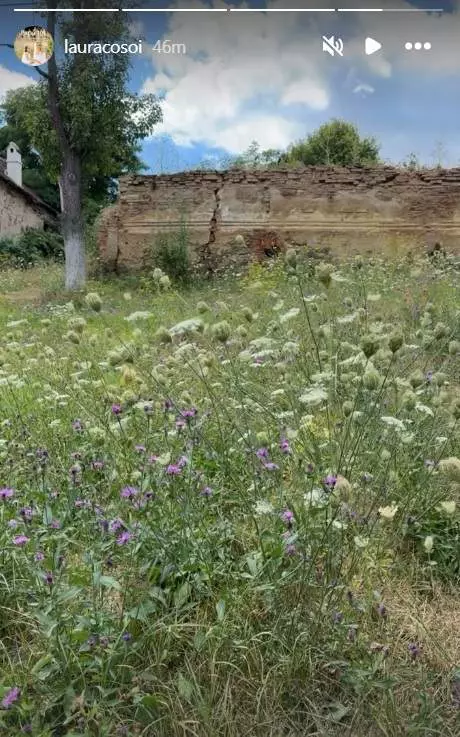 gradina Maramures botez fetita Laura Cosoi