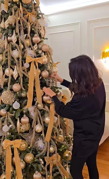 monica birladeanu sufragerie 6