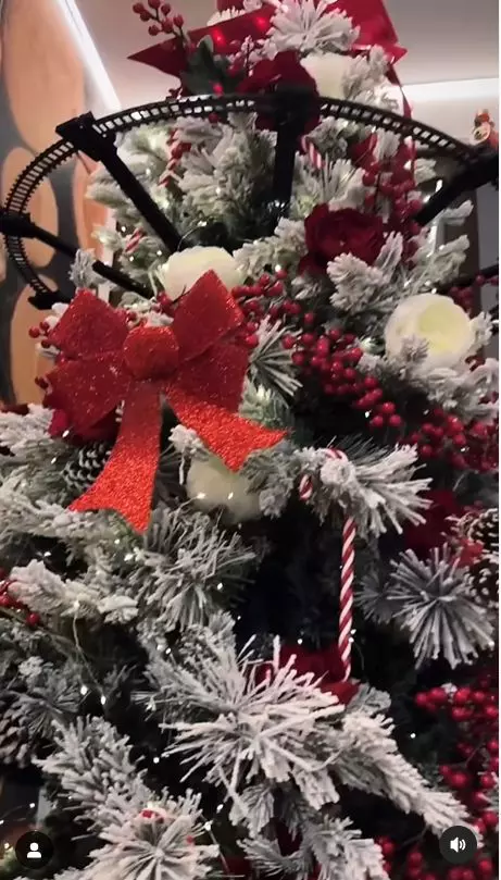 Cum arată sufrageria lui Pepe de Crăciun  (3)
