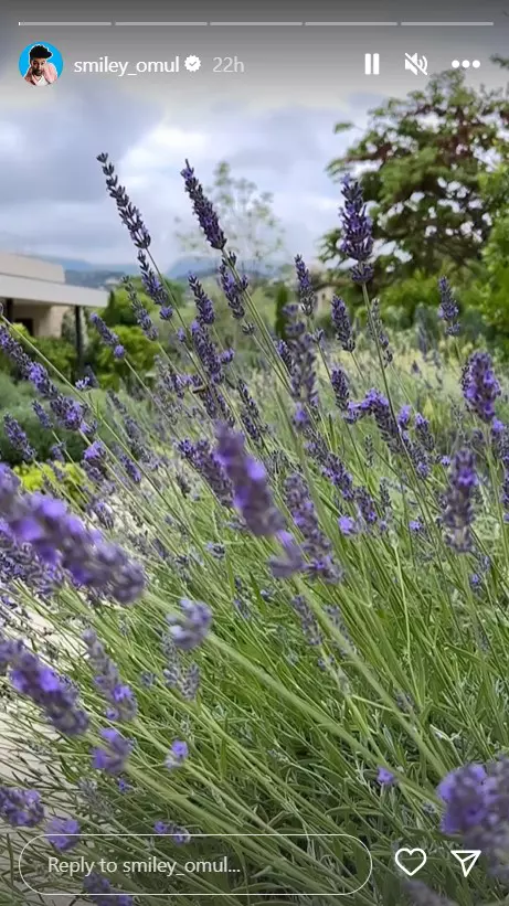 Gina Pistol și Smiley, primele imagini din luna de miere de vis. Unde se relaxează după nuntă