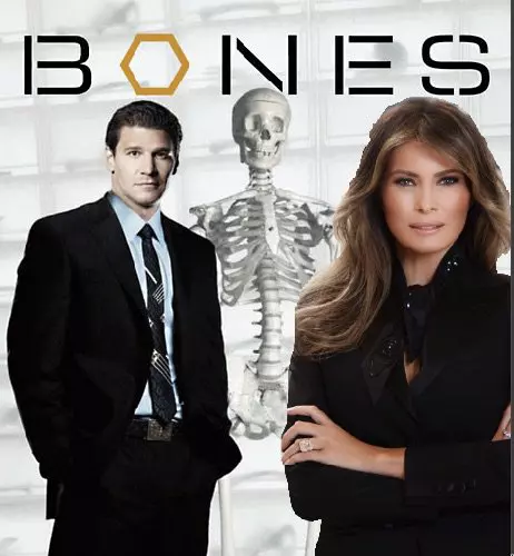 Primul portret oficial al Melaniei Trump, ironizat - Bones