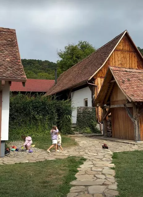 laura cosoi maramures