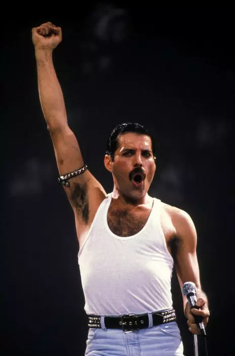 Freddie