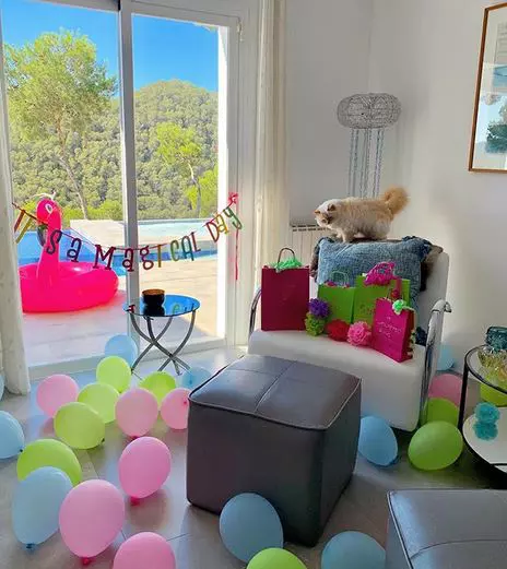 Choupette, pisica lui Karl Lagerfeld