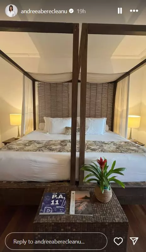 Andreea Berecleanu, vacanță de vis în Rio de Janeiro   (3)