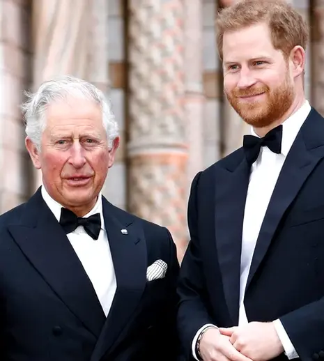 Regele Charles al III-lea are o misiune imposibilă: cum se poate împăca cu prințul Harry fără să o supere teribil pe Camilla