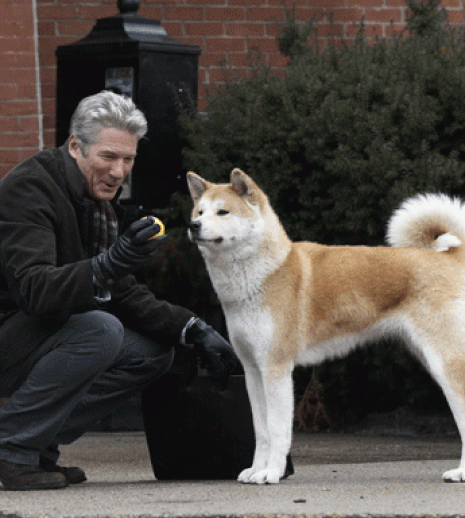 Recomandarea TVmania: „Hachiko: Povestea unui câine”, cu Richard Gere