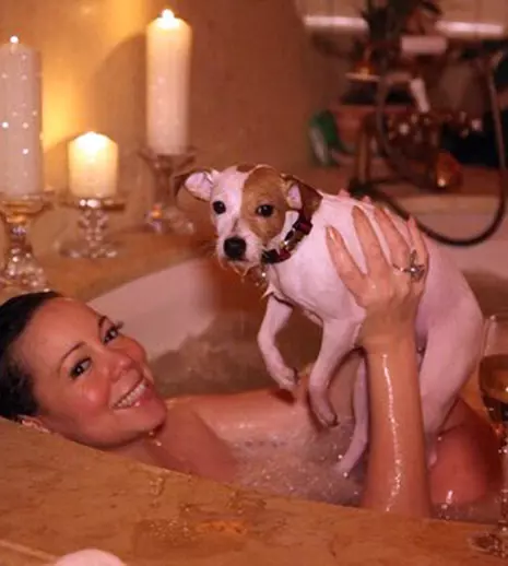 Mariah Carey cheltuieşte 47.000 de dolari pe an pe căţeii ei