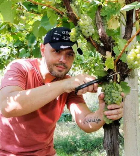 De ce îi este Mihai Mitoșeru recunoscător lui Nea Mărin