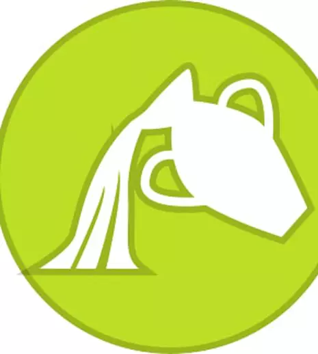 Horoscop Vărsător 17 – 23 februarie 2017