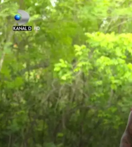 Zanni revine în forță înainte de cea de-a doua semifinală „Survivor România”! Ce se întâmplă în ediția de vineri