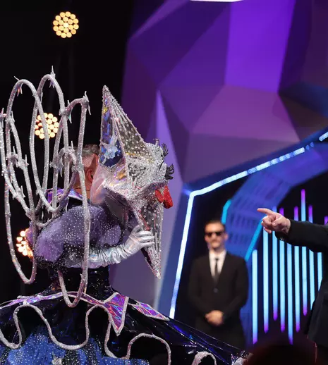 O nouă demascare la Masked Singer România:  „A cântat senzațional și ne-a păcălit pe toți”. Cine este Steaua