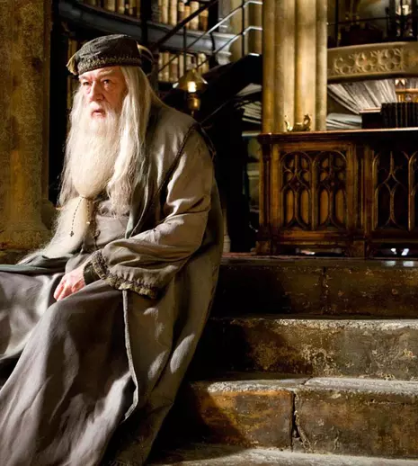 Actorii care au fost absenți de la reuniunea Harry Potter