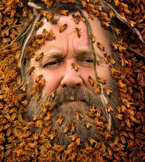 O nouă emisiune la Discovery. Când începe „Regele albinelor”