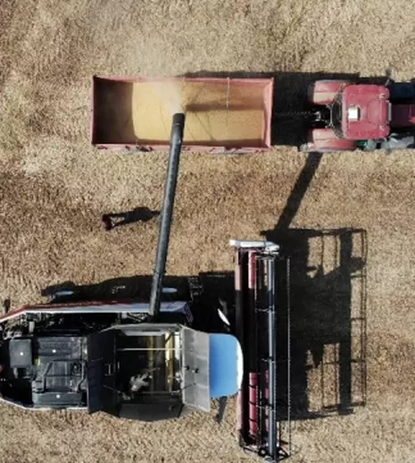 „Agrostrategia” și „Fermierii României”, noile emisiuni anunțate de TVR 1. Când încep