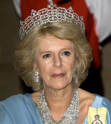 Ascensiunea Camillei: de la amantă regală, la regină consoartă