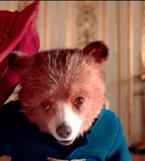 Ursulețul Paddington, tribut emoționant adus reginei Elisabeta a II-a. Mesajul a devenit viral  în timp record