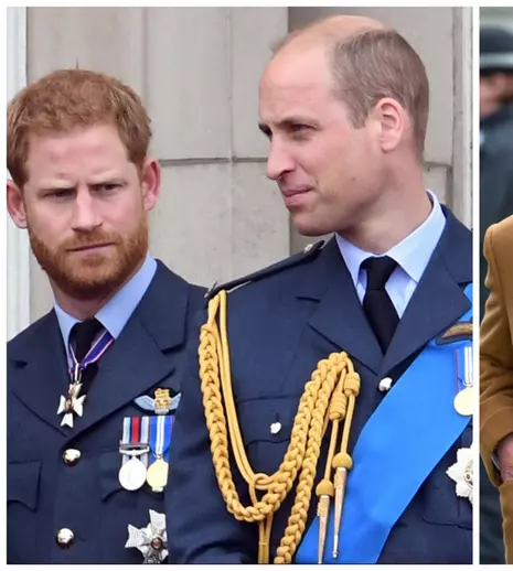 Cine a fost numit de Casa Regală britanică să medieze scandalul cu prințul Harry și Meghan Markle. De ce se teme prințul William