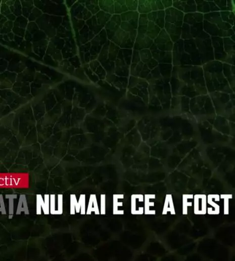 "Un an. Un minut şi o secundă", un documentar despre Colectiv, la Digi24