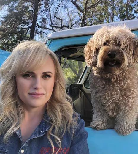 Din nou singură! Rebel Wilson s-a despărțit de iubit