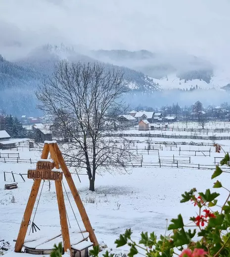 ROventura, 7 ianuarie 2023. Incursiune de basm în Bucovina