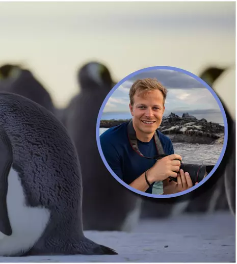 „Secretele pinguinilor”, documentarul prezentat de Bertie Gregory, de Ziua Pământului 2025. Unde îl poți vedea